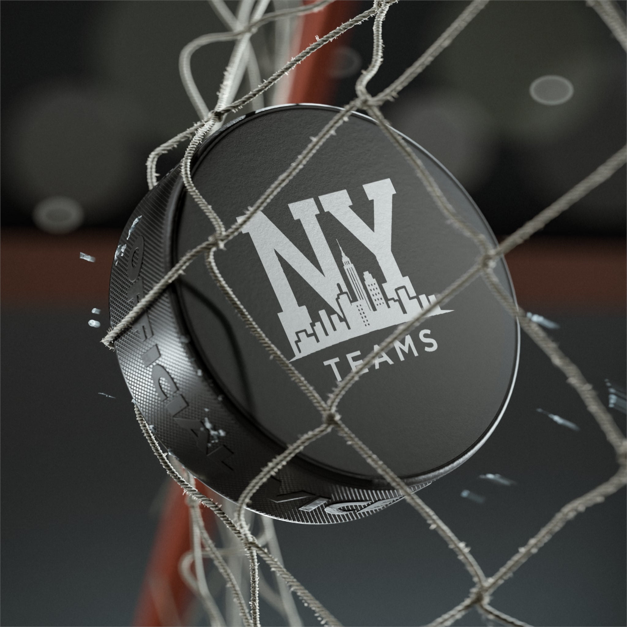 Hockey Puck