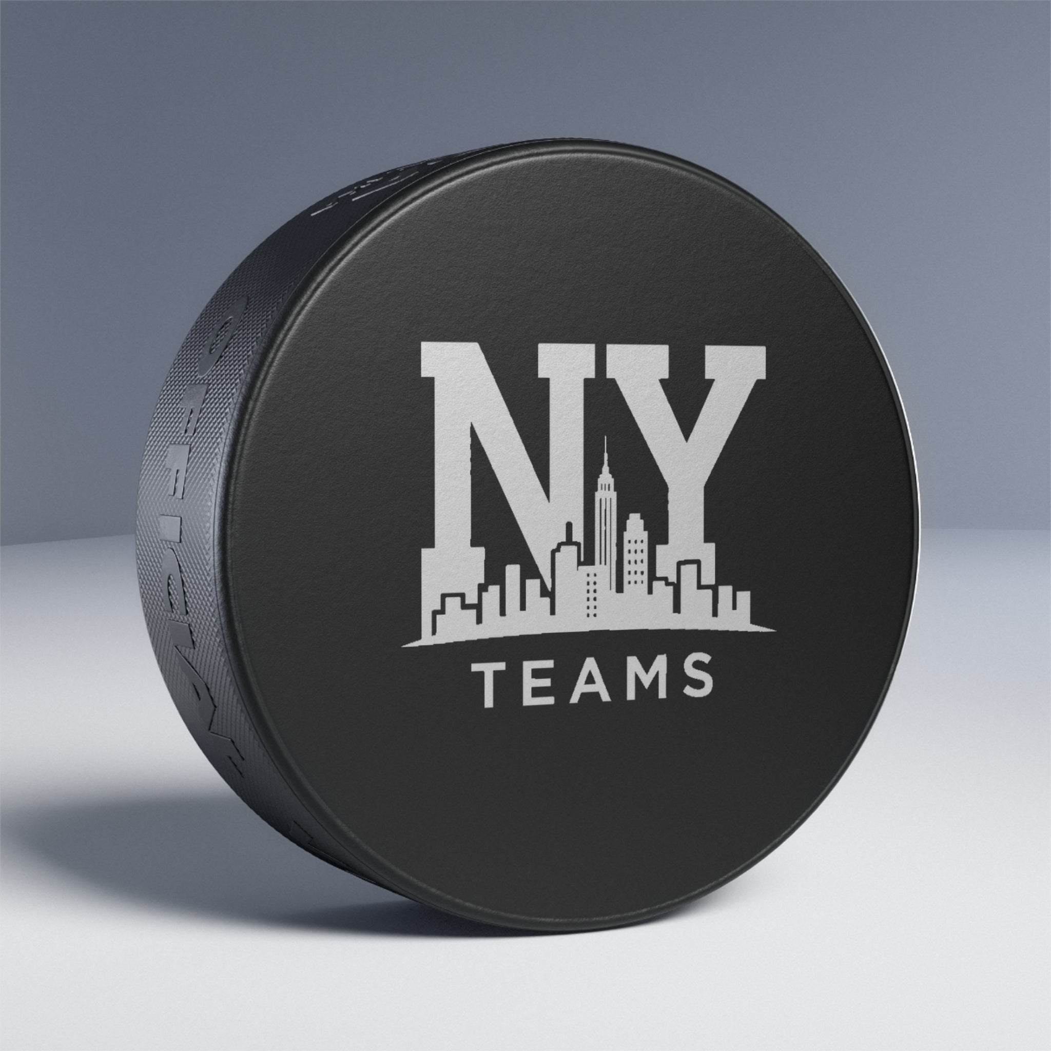 Hockey Puck